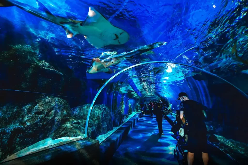 SEA LIFE Bangkok Ocean World